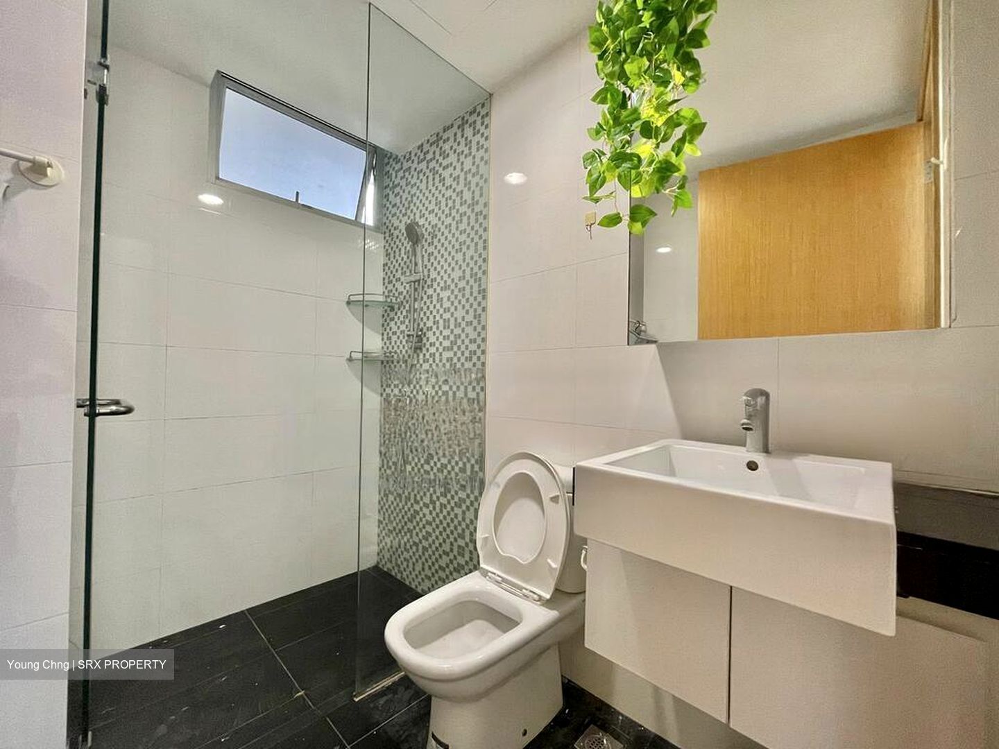 Oasis @ Elias (D18), Condominium #503698801